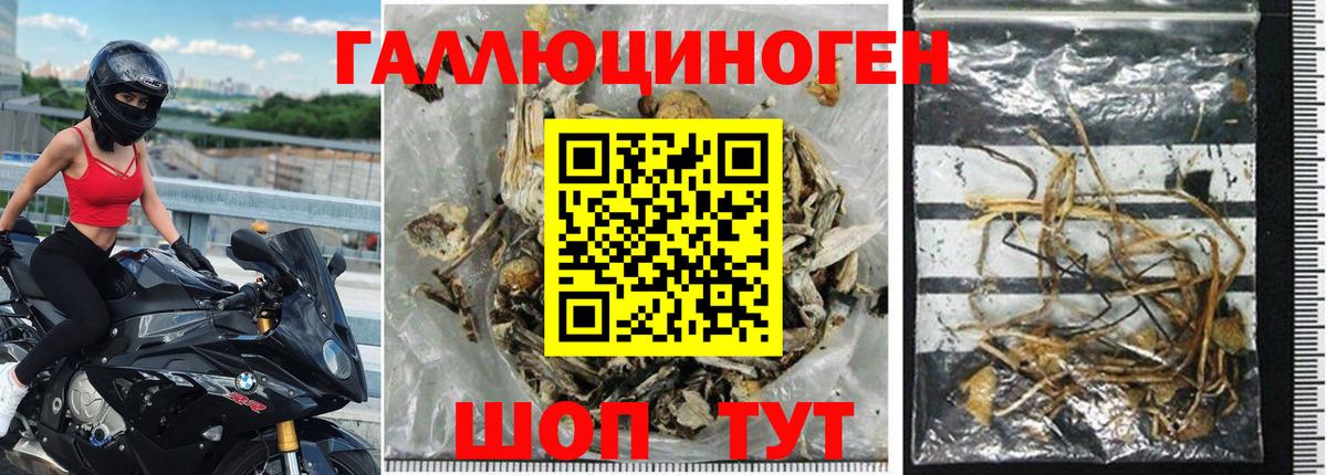 Галлюциногенные грибы Psilocybe  Галлюциногенные грибы Psilocybine cubensis  Вход с VPN  Верхняя Салда 