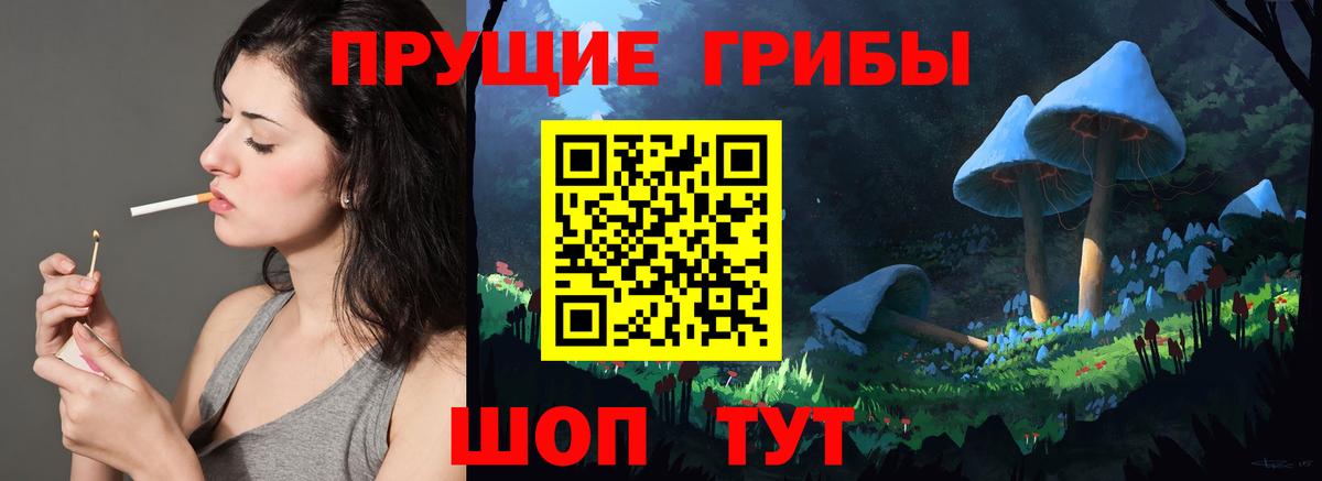 Псилоцибиновые грибы мицелий Верхняя Салда