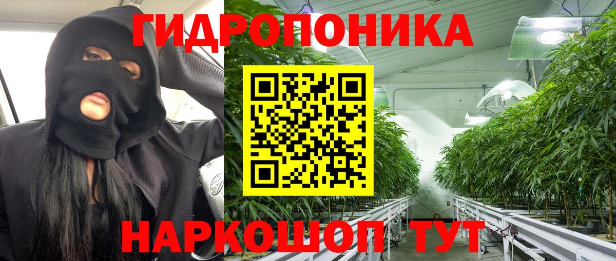 Бошки Шишки семена Верхняя Салда